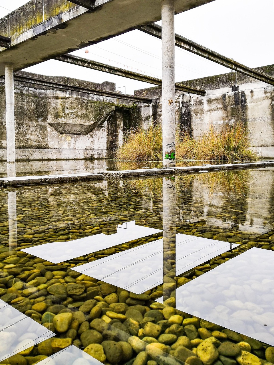 switzerland, water, sewage treatment plant, out of order, clarifiers, wastewater treatment, nature, attisholz, light, reflection